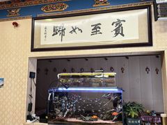 -金鼎雪山牦牛杂火锅(理县总店)