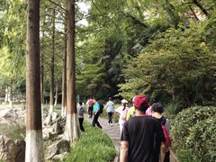 -幕燕滨江·长江观音景区