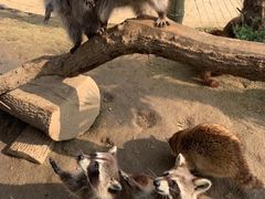 -南京金牛湖风景区