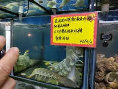 -蚝专家(北滘店)