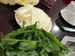 -唐哥冷淡杯(电子路店)