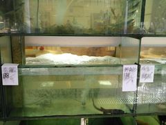 水产区-金生美食(贵州路店)