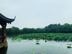 -西湖游船