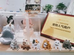 -Pets First伊珊娜洗护·精致美容·家庭式寄养(新会路店)
