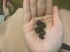 -巴厘岛黄金金兔咖啡工厂