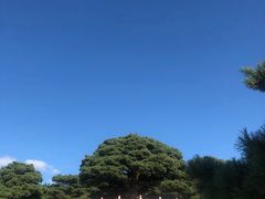 -延吉东来寺