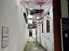 -东山雕花楼
