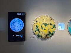 -四川大学博物馆