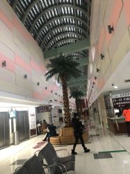 -复旦大学附属妇产科医院(杨浦院区)