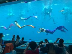 -瑞德姆美人鱼海底演艺主题餐厅(亚龙湾店)
