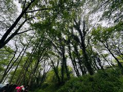 -西溪南古村落景区