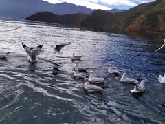 -丽江泸沽湖景区