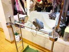 -森野花艺培训·企业团建活动沙龙