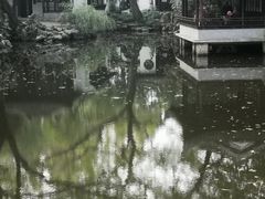 -秋霞圃