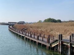 -苏州太湖湖滨国家湿地公园