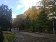 -北海道厅旧本厅舍(旧本庁舎)