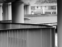 -银湖山郊野公园-相思林