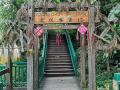 -西双版纳原始森林公园