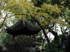 -秋霞圃