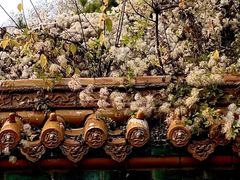 -沈阳市东陵公园