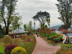 -铁山坪森林公园