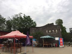 -秀丽东方