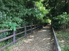 -三鹰之森吉卜力美术馆