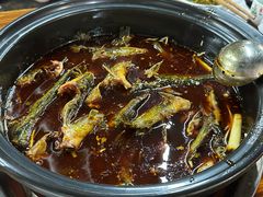 -金海椒罐罐鲢鱼(东方桂苑店)