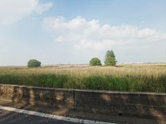 -双山岛