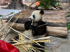 -海南热带野生动植物园