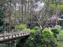 -广州兰圃