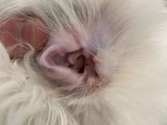 -comecome来吧宠物(奥克斯中心店)