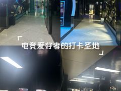 -绿树电竞(五路店)