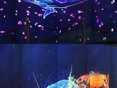 -海合安成都极地海洋公园