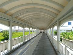 -上海南浦大桥长途旅游客运站