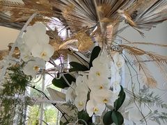 -厦门园林博览苑
