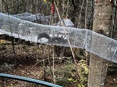 -五营红松林海景区