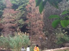 -云溪植物园