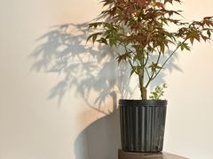 -Hei Cafe(工体店)