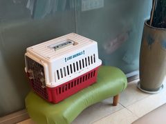 -瑞派申生动物医院·24H夜诊·国际动物医疗中心·骨外科(吴中路店)