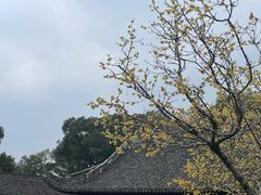 -宁波市保国寺古建筑博物馆