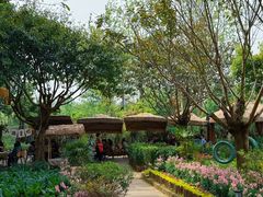 -苏记溪河鲢鱼庄(天府新区店)