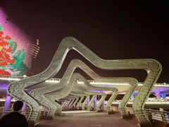 -演武大桥观景平台