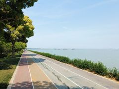 -贡湖湾湿地公园