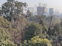 -成都杜甫草堂博物馆