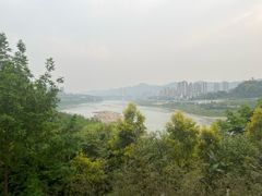 -金海湾滨江公园