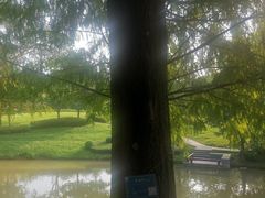 -中山市树木园
