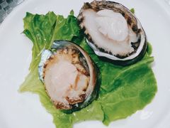 鲜活小鲍鱼-金龙·打边炉(武进路店)