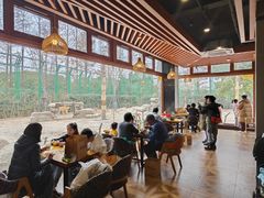 -上海野生动物园老虎餐厅