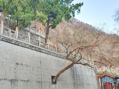 -千佛山风景名胜区-历山院